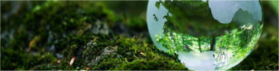 Environmental Services Environmental Services